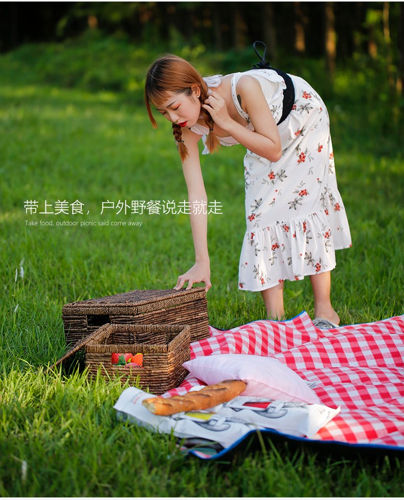 Thảm dã ngoại chống ẩm thảm dã ngoại thảm ngoài trời di động không thấm nước picnic vải dã ngoại mục vụ Nhật Bản mùa xuân đi chơi trong gió - Thảm chống ẩm / Mat / Gối