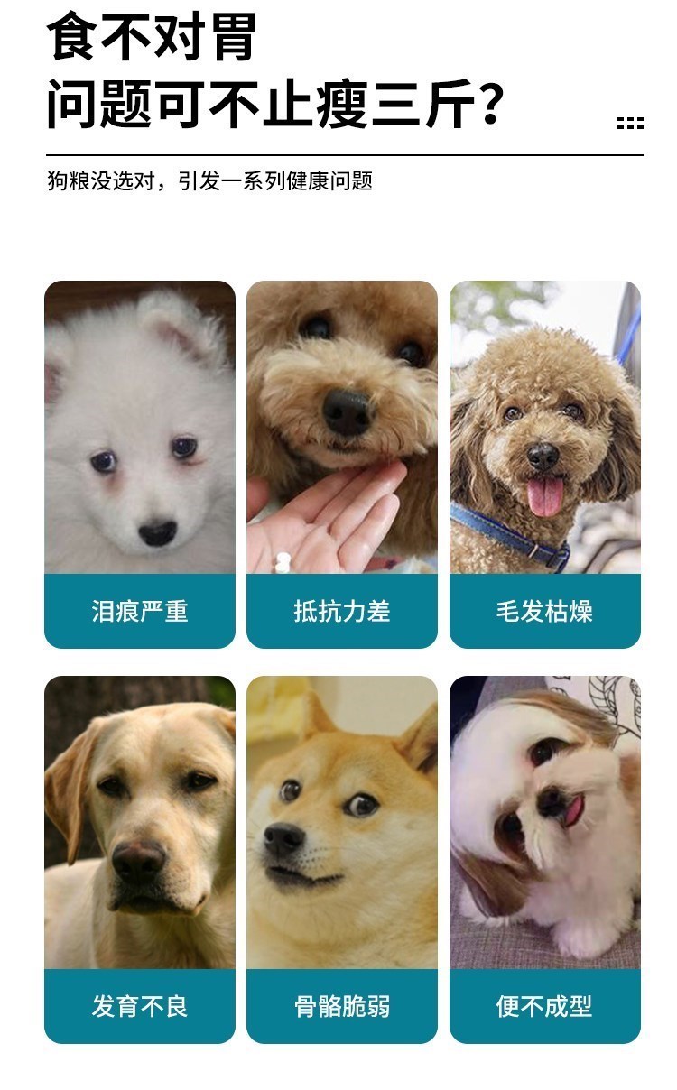 A3a3 thức ăn cho chó loại phổ biến 10 con mèo phương pháp thú bông Pomeranian Bichon vàng chó con trưởng thành 40 loại thức ăn chủ yếu lớn và nhỏ - Chó Staples