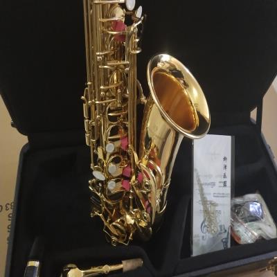 Nhạc cụ Alto Saxophone Nhật Bản cao cấp A901 Alto Saxophone Biểu diễn chuyên nghiệp - Nhạc cụ phương Tây