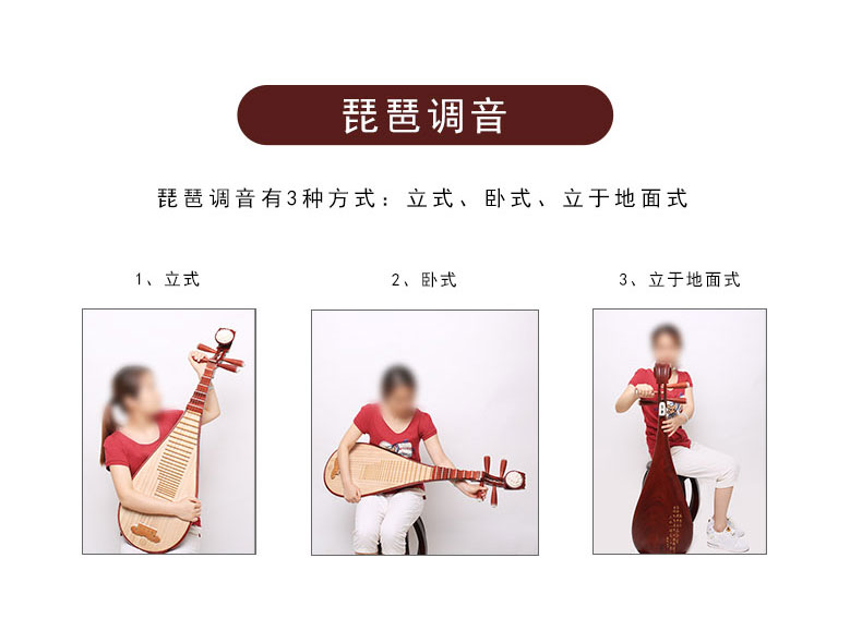 Chính hãng Jiangyin 6914 Rosewood Water Polished Pipa Musical Instruments Phụ kiện miễn phí dành cho người lớn - Nhạc cụ dân tộc