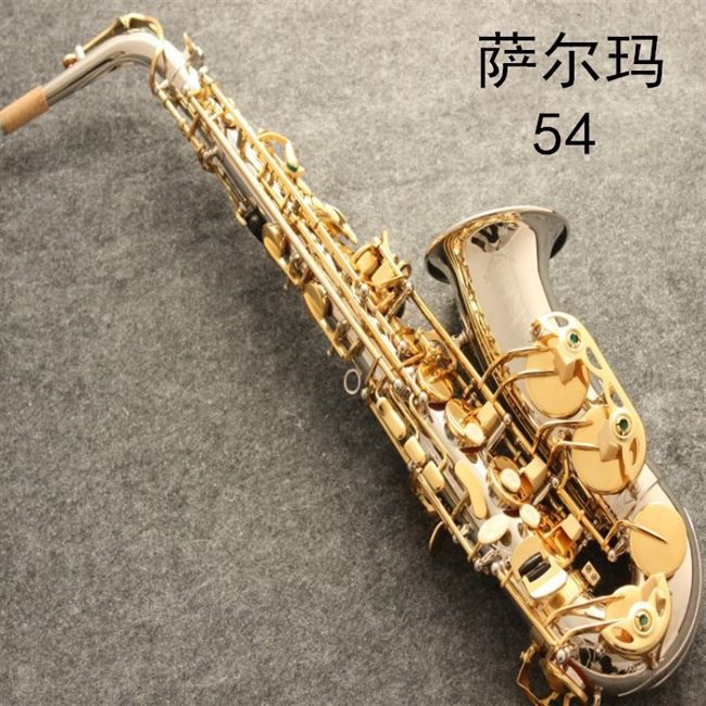 Nhạc cụ cao cấp của Pháp Selmer / Salma 802 / E-phẳng Alto saxophone điện di vàng chuyên nghiệp - Nhạc cụ phương Tây