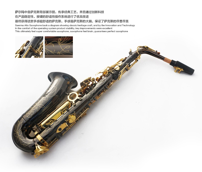 Saxophone mới Salma Alto / Nhạc cụ / Tube Black Nickel Gold Saxophone dành cho người mới bắt đầu - Nhạc cụ phương Tây