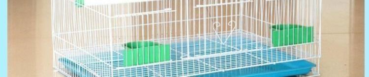 Lồng vẹt đặc biệt với hộp nuôi để phóng to chim thú cưng hàng gia dụng lồng thỏ lớn lồng chim nhỏ lồng chim vàng - Chim & Chăm sóc chim Supplies