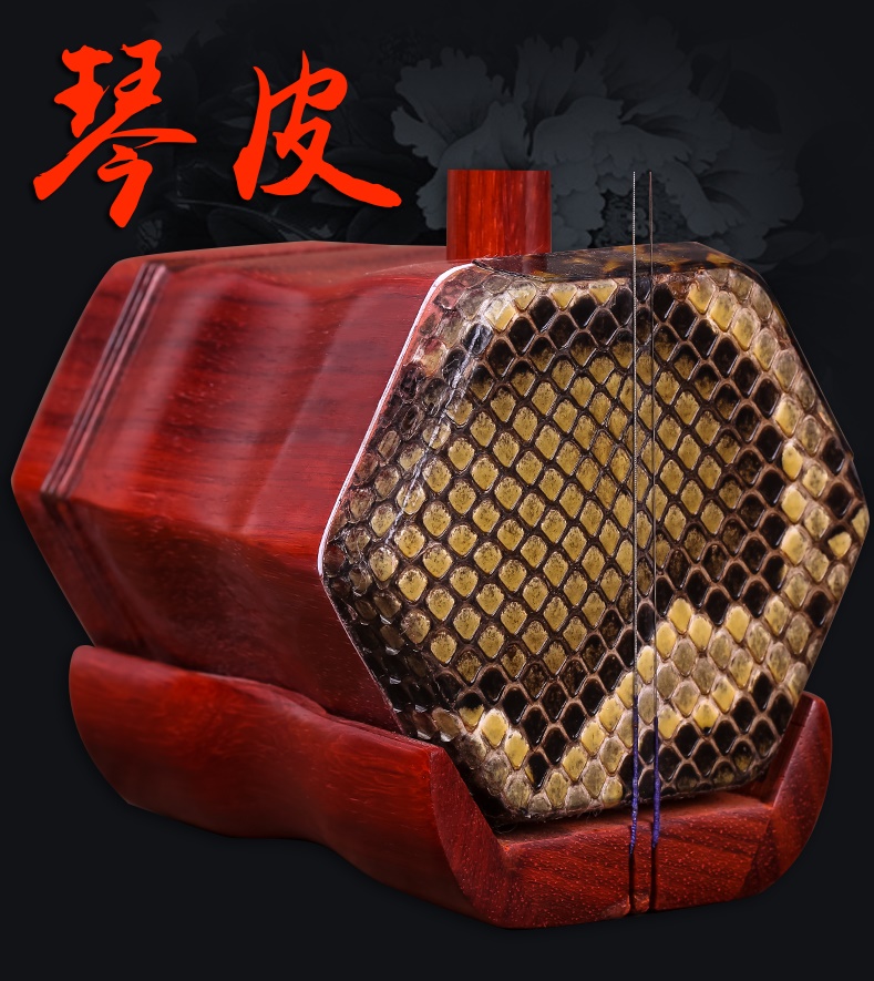 Đàn nhị Tô Châu mới dành cho người mới bắt đầu Nhạc cụ đàn nhị bằng gỗ gụ Âm lượng cao Bộ phụ kiện và sản phẩm định vị - Nhạc cụ dân tộc