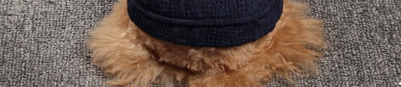 Bichon Hiromi Poodle Puppy Áo len Quần áo Thu / Đông Trang phục cho Thú cưng Corgi Con chó nhỏ Cún con Cún con Cún con Váy dày dặn Mèo - Quần áo & phụ kiện thú cưng