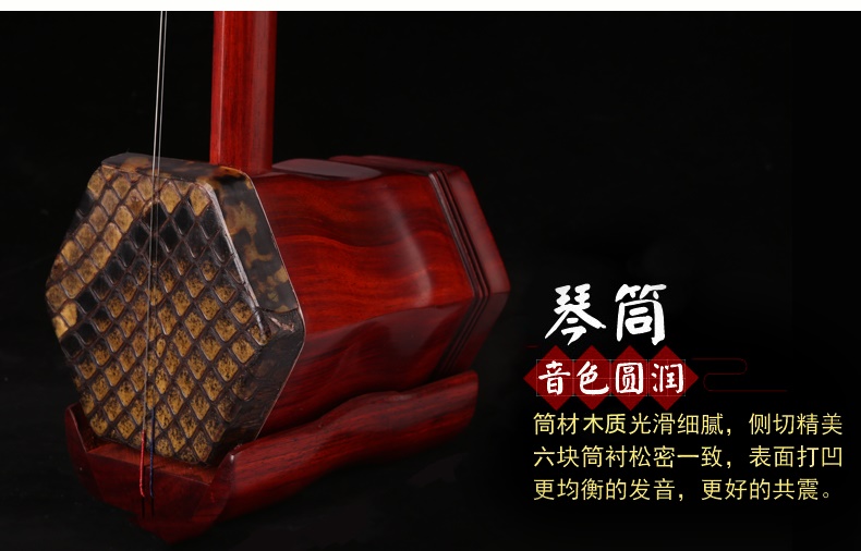 Cao cấp cho người lớn mới bắt đầu bằng gỗ gụ đàn hương đen đàn hương đàn nhị đỏ quà tặng đàn nhị bằng đàn nhị mới - Nhạc cụ dân tộc