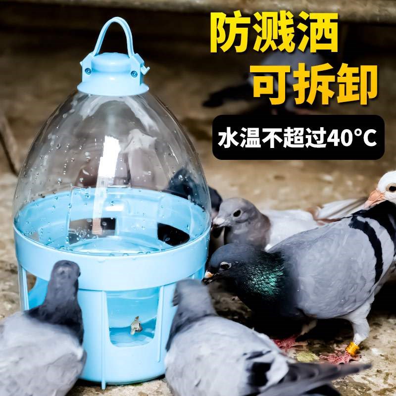 . Dove với dụng cụ uống nước tự động và nguồn cung cấp nước uống làm đặc chìm kích thước lớn lưới chống thả rơi tạo tác người nổi tiếng Thiết bị chim bồ câu - Chim & Chăm sóc chim Supplies