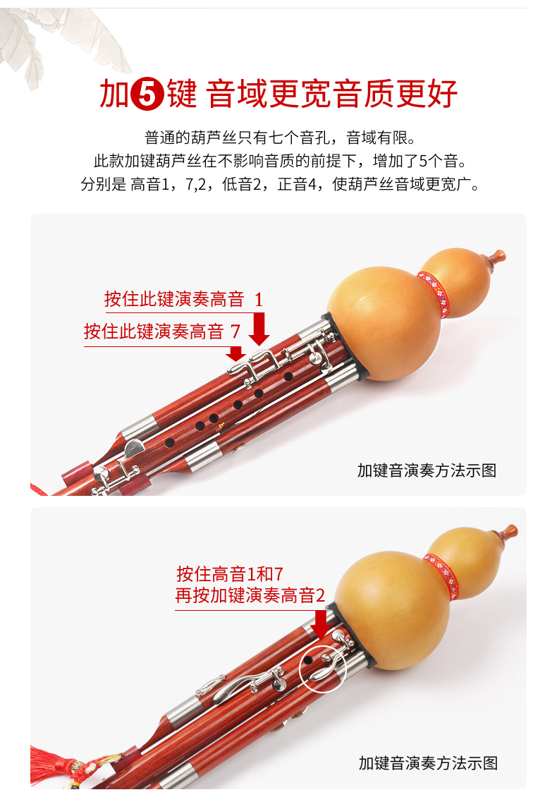 Xinyi chính hãng Super Nine Hole Plus 5 phím Hulusi Hiệu suất chuyên nghiệp Loại C / B Dụng cụ dải rộng phẳng có thể thổi Treble - Nhạc cụ dân tộc