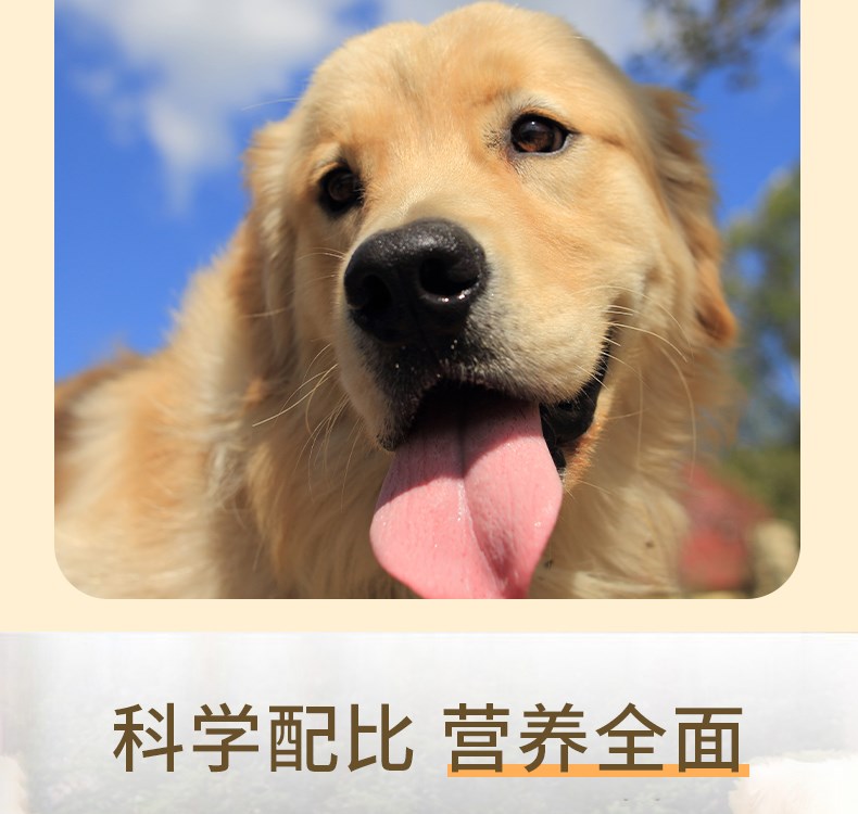 Thức ăn cho chó Bắc Kinh thức ăn cho chó trưởng thành đặc biệt 2,5kg5 kg thức ăn chủ yếu cho chó nhỏ hương vị thịt bò tự nhiên Thức ăn cho chó Bắc Kinh - Chó Staples