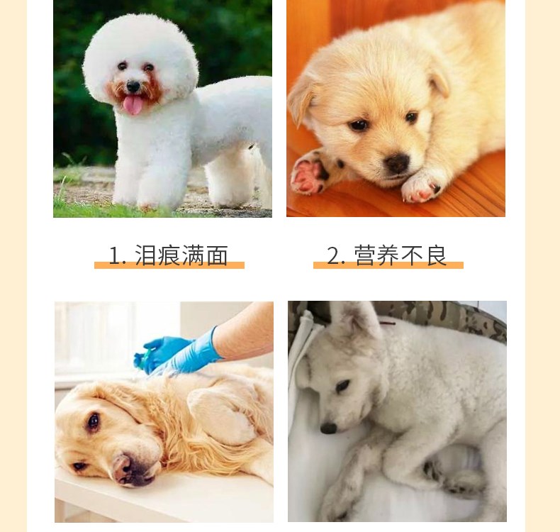 Thức ăn cho chó Con chó con nói chung Chó trưởng thành Teddy Samoy Golden Retriever Bichon Bulldog Bulldog Staple Food 1 kg-20 kg - Chó Staples