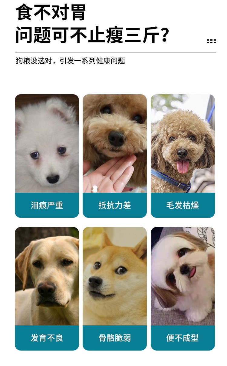 Thức ăn cho chó con Thức ăn cho chó con Thức ăn cho chó trưởng thành Thức ăn cho chó con 30 Jin 20 Jin Golden Retriever Allard Shepherd vừa và lớn cho chó lớn Thức ăn chủ yếu cho chó - Chó Staples