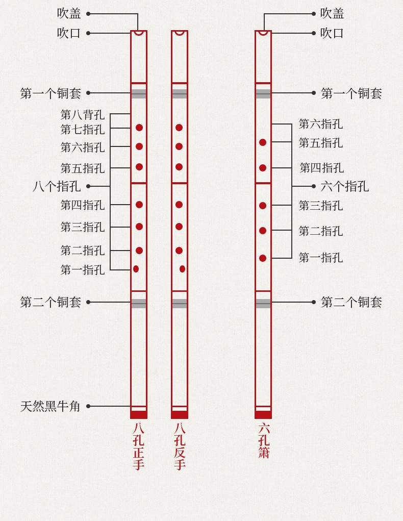 Chính hãng Zizhu Dongxiao Người mới bắt đầu chuyên nghiệp Người lớn Bắt đầu Gu Zhuxiao Độ dài của nhạc cụ Xiaoxiao Sáu lỗ Tám lỗ Ba phần Điều chỉnh GF - Nhạc cụ dân tộc