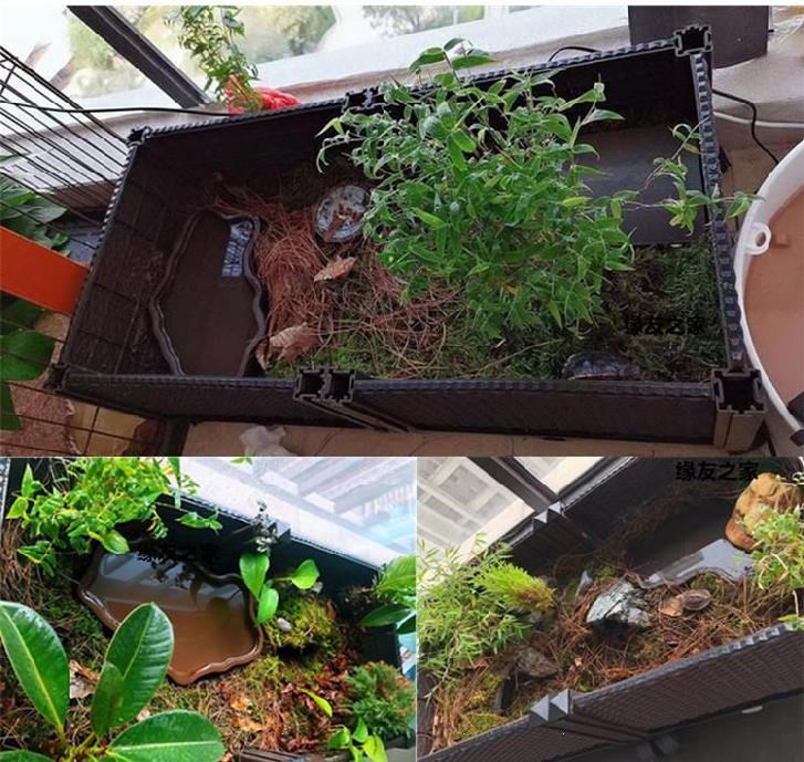 箱子山龟设计爬宠半水开放式室内安缘龟打造黄缘龟苗饲养箱乌龟池