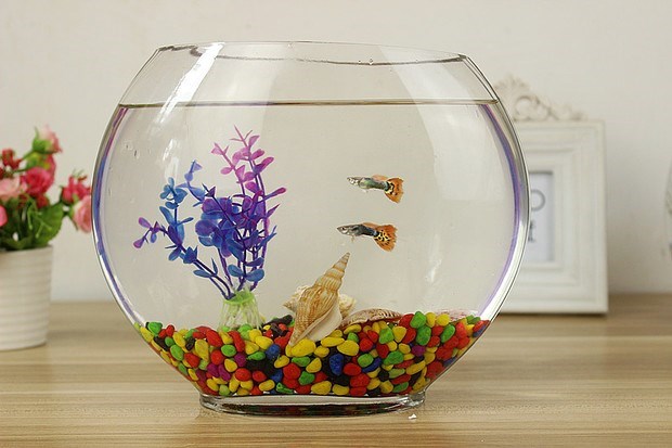 水族箱玻璃小立体鱼缸卧室鱼缸扁形摆设透办公便携式高家用器家装