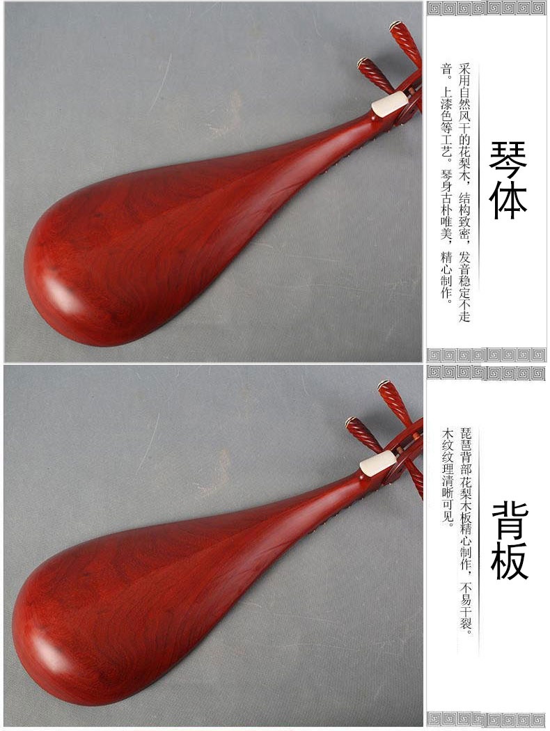 Cao cấp Jiangyin 6902 Red Rosewood Pipa Nhạc cụ Trẻ em Mới bắt đầu Luyện tập Người lớn Phụ kiện miễn phí - Nhạc cụ dân tộc