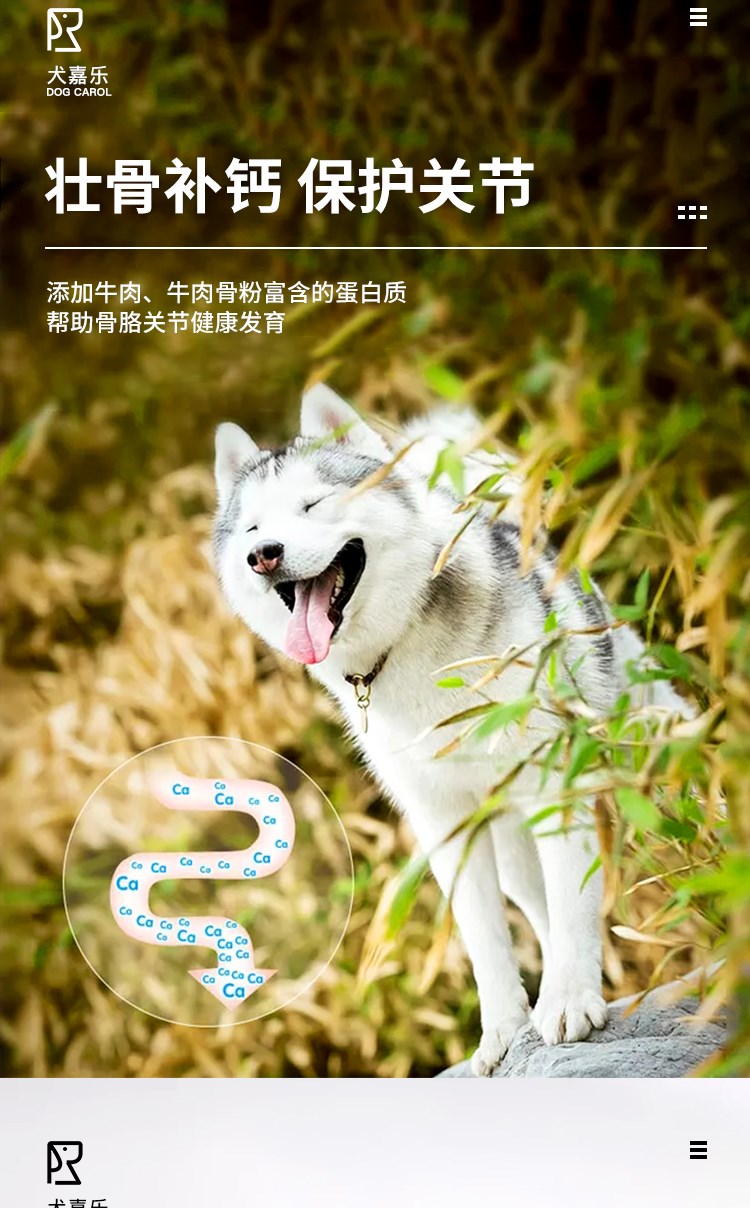 Thức ăn cho chó Samoyed Thức ăn đặc biệt 5kg10 Jin cho chó trưởng thành Chó con Toàn bộ thức ăn cho chó Thức ăn chủ yếu Thức ăn cho thú cưng Tự nhiên - Chó Staples