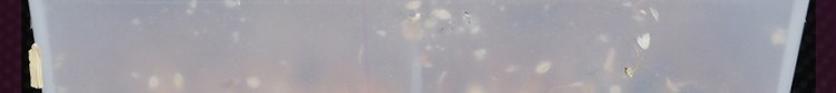 Da hổ cockatiel gốm sứ chim thức ăn hộp thức ăn hộp thức ăn chống lây lan thiết bị gia cầm cung cấp phụ kiện lồng chim - Chim & Chăm sóc chim Supplies