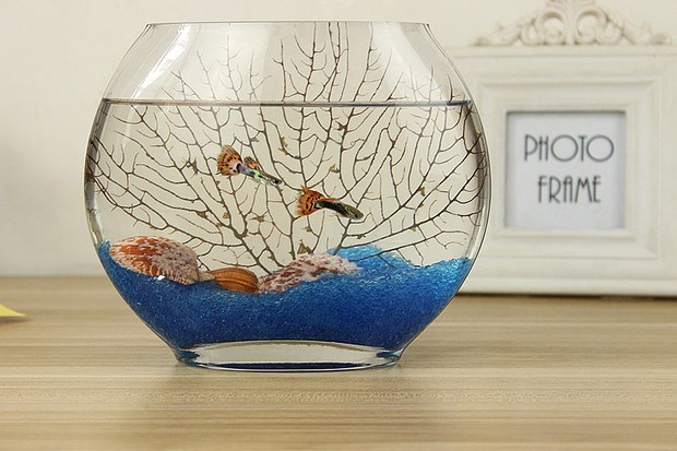 水族箱玻璃小立体鱼缸卧室鱼缸扁形摆设透办公便携式高家用器家装