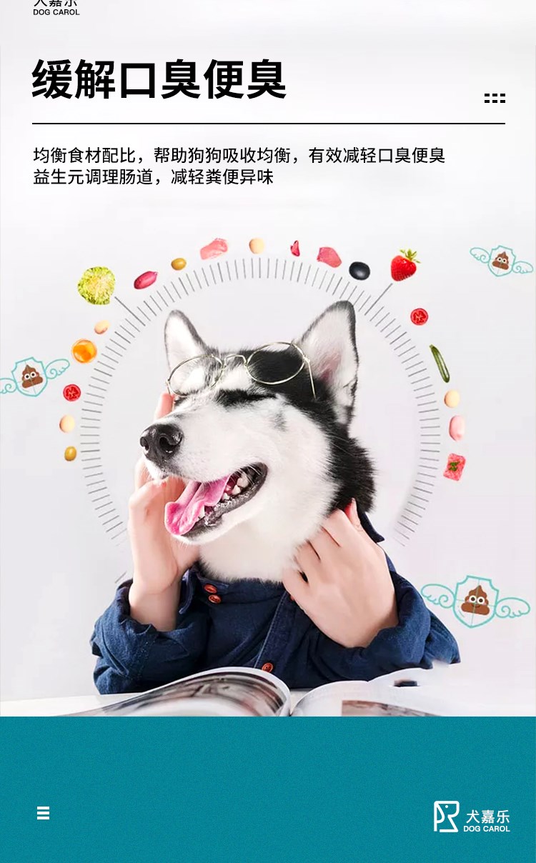 Thức ăn đa năng cho chó Gói 40 kg vừa và lớn cho chó trưởng thành Ke Fund Mao Bichon Samoyed Schnauzer thức ăn chủ yếu đặc biệt - Chó Staples