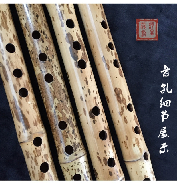 New Xiao Yuping Xiao Xiang Fei nhạc cụ sáo trúc Shu Hou Huai biểu diễn chuyên nghiệp Sáo sáu lỗ tám lỗ cho người lớn - Nhạc cụ dân tộc