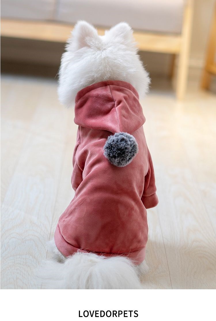 Quần áo cho chó mỏng mùa thu và mùa đông mèo và chó con bichon chiến đấu mèo không lông những con chó nhỏ đường phố thời trang mạng lưới người nổi tiếng quần áo vật nuôi - Quần áo & phụ kiện thú cưng