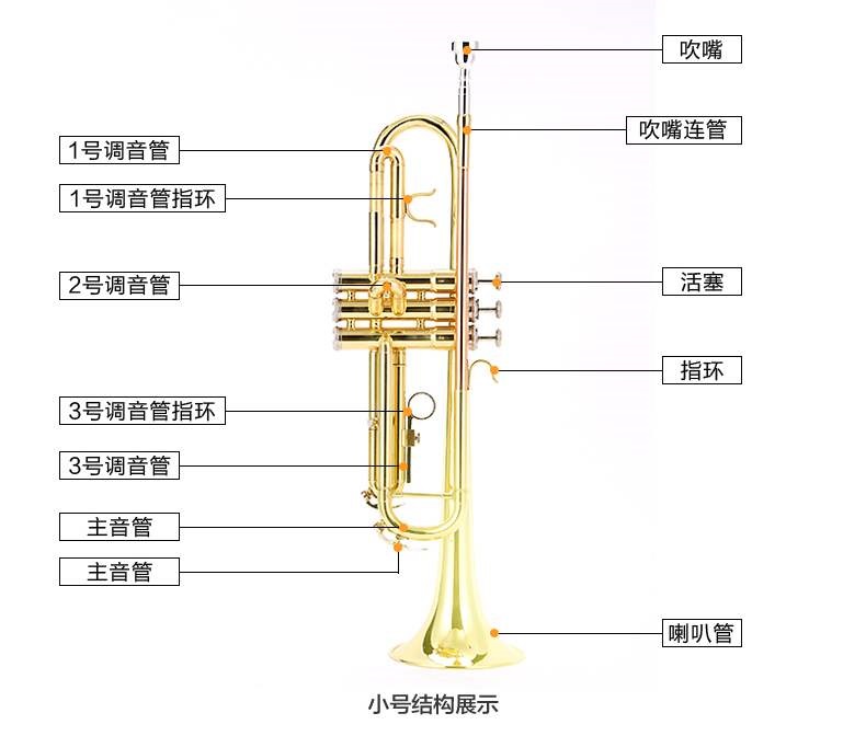 Cao cấp Handel kèn B-kèn kèn phẳng trẻ em học sinh kiểm tra người mới bắt đầu phosphor đồng thổi kèn nhạc cụ HTR-3 - Nhạc cụ phương Tây