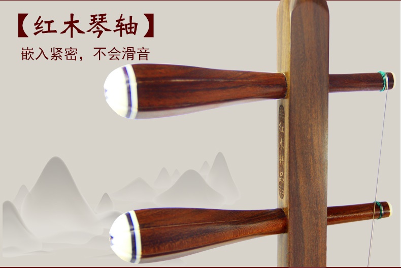 Cao cấp Songyinfang Old Redwood Kiểm tra trình độ chuyên nghiệp Chơi nhạc cụ Tô Châu Erhu Người mới bắt đầu Kiểm tra trình độ dành cho người lớn - Nhạc cụ dân tộc