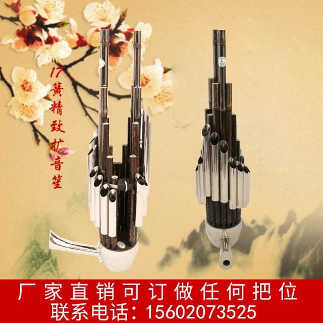 Chơi chuyên nghiệp đích thực Sheng nhạc cụ Tinh tế 17 cây sậy PA Sheng gỗ gụ Sheng chân gỗ mun Sheng chân giai điệu DGCF - Nhạc cụ dân tộc