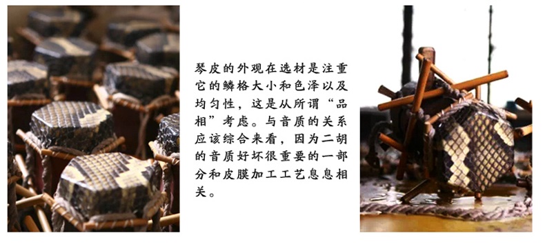 Cao cấp Lu Linsheng Hai sao Erhu Anuo Guyi Sumu Handmade Erhu Nhạc cụ Gửi Phụ kiện gốc - Nhạc cụ dân tộc