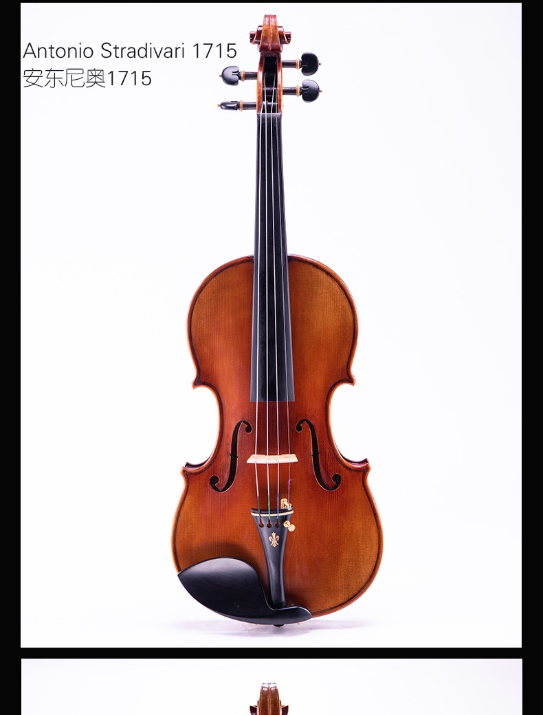 Kiểm tra chuyên nghiệp violin Taishi mới dành cho người lớn trẻ em chơi nhạc cụ học sinh vật liệu nhập khẩu Châu Âu cấp độ Ý - Nhạc cụ phương Tây