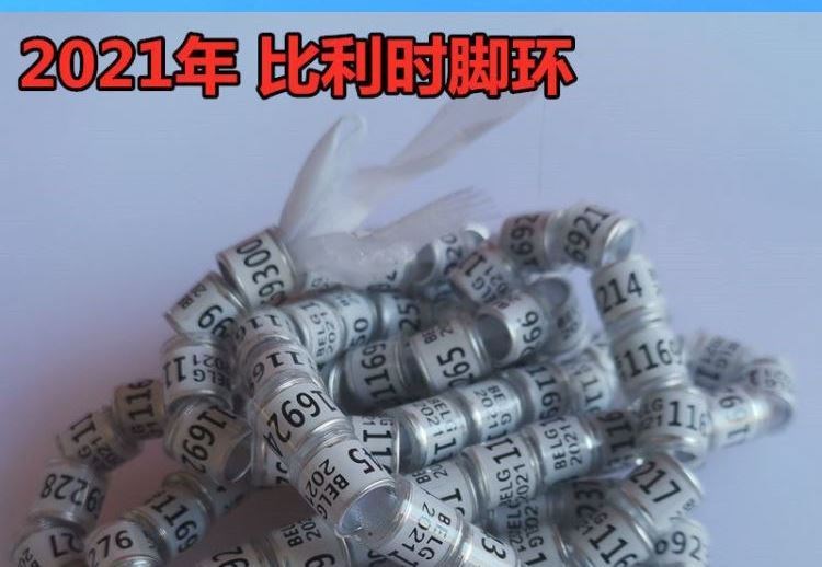 2021 Homing Pigeon Foot Ring Cuộc đua Vòng chân Pigeon Vòng đầu máy Đồng phục đánh dấu Vòng Homing Pigeon Vật dụng gia dụng Vòng kẹp nhựa - Chim & Chăm sóc chim Supplies