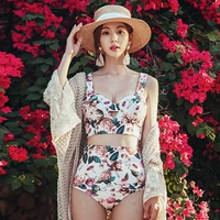 Bikini nhỏ ngực tập hợp áo tắm mỏng gợi cảm bikini hoạt hình màu kích thước ngực Hàn Quốc chia áo tắm nữ đồ bơi 2 mảnh đẹp