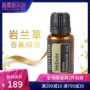 DoTERRA Dotray trang web chính thức lang lan đơn phương tinh dầu đơn phương 15ml massage tinh dầu cạo tinh dầu - Tinh dầu điều trị tinh dầu cà phê