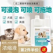 Khử trùng chất khử trùng vật nuôi, hộ gia đình, chất khử trùng đặc biệt cho chó, mèo, mèo, chó, parvovirus - Cat / Dog Medical Supplies