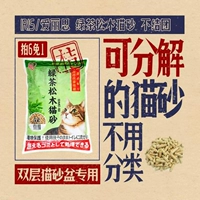 Радужная оболочка Алиса зеленый чай для сосны кошачья кошка песчаные продукты для животных оборонительная пыль пыли древесина кошка 5 л.