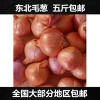 [毛葱东北包邮 新鲜东北特产毛葱头毛葱农家特产鬼子葱500g拍5包邮]