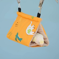 Pipon Xuan 粢 鹉 Parrot Short    皮 皮 皮 皮    裎 裎 裎 裎 裎 裎