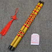 Nhạc cụ gió truyền thống sáo trúc clarinet người mới bắt đầu học sinh trưởng thành thực hành clarinet dài 42cm Xiao sáo - Nhạc cụ phương Tây