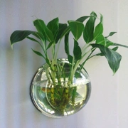 Sáng tạo bình hoa hoa bình hoa khung acrylic tường nhãn dán cây xanh vườn hoa chậu hoa chuông vàng mô phỏng - Vase / Bồn hoa & Kệ