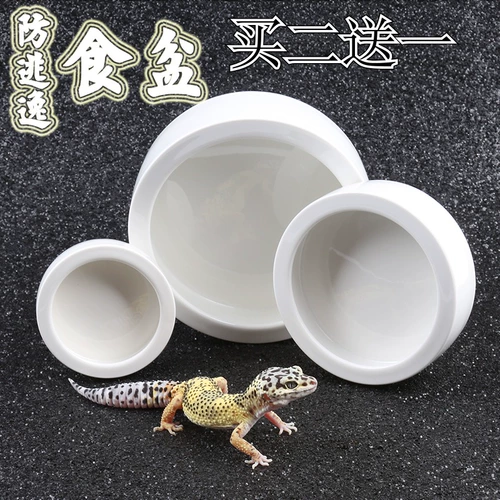 Zicira 礌鐖 r r   € €  槅铏 ぇ ぇ ﹁櫕鏉 櫕鏉 瘮 氶槻 氶槻  鐩嗗 畧瀹  铚 铚 铚 铚 铚 铚 铚
