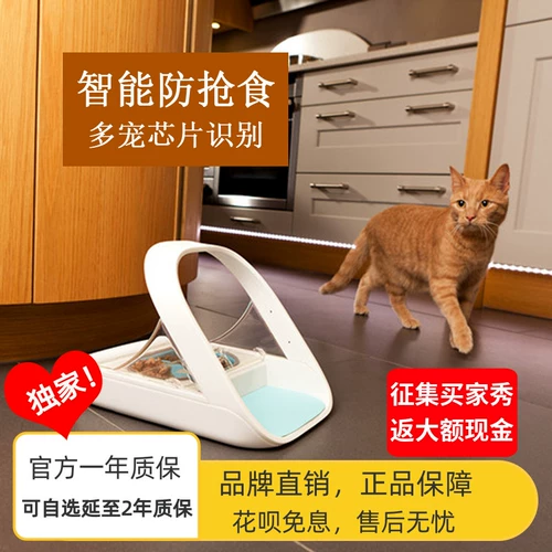 Surefeed Smart Chips Induction Multi -CAT Автоматическая подача мокрого зерна и свежие чаши для домашних кошек