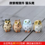 Бедный бонсайский растительный мох микроалкологический экологический моделирование бутылок