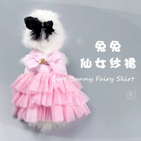 Кролик, одежда, юбка в складку, платье-комбинация, домашний питомец