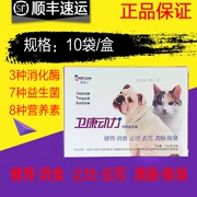 Bác sĩ Cai Weikang Power Pet Dog Cat Probiotic Điều hòa Khử trùng dạ dày Tiêu hóa Dừng dạ dày - Cat / Dog Health bổ sung