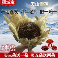 Jeonbuki купить 3 дайте 1 Синьцзян Тяньшан Снежный Лотос Ганпин искренние китайские фармацевтические материалы питающие чайный чай