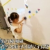 từ trẻ em da trắng mềm xóa được graffiti dán tường vẽ bảng để viết một ngôi nhà nhỏ đi kèm với kẹo cao su quá khổ Đồ chơi giáo dục