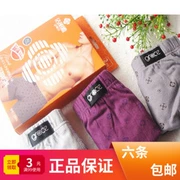 6 Jie Jie Ya quần tây nam đồ lót giá trị đồng tiền cotton boxer không co giãn đặc biệt in hộp
