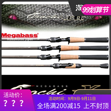 Дорожные суб -полюсный