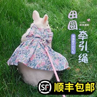 Одежда для животных кролика