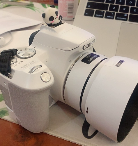 Canon 50 ммф1,8 -мм Трехгенерационные линзы матовая матовая матричная матричная матрица красота наклейка зеркала кузов пленка